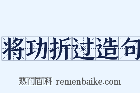 将功折过造句是什么意思的图片